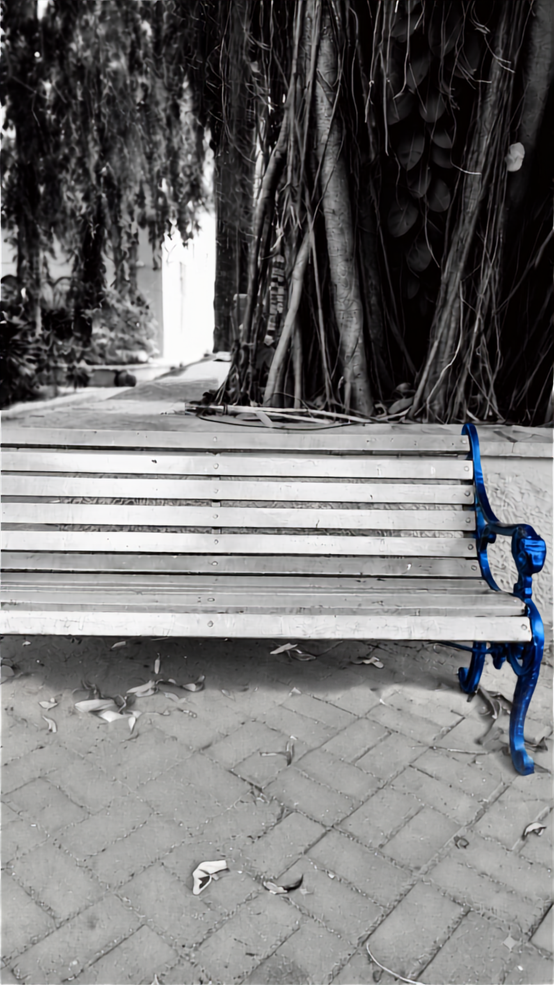 its like sitting with a stranger in the park. pause. reflect and leave something behind at I Am Content